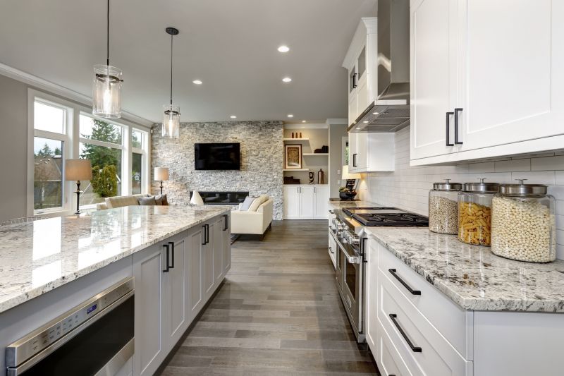 Countertop Renovation
